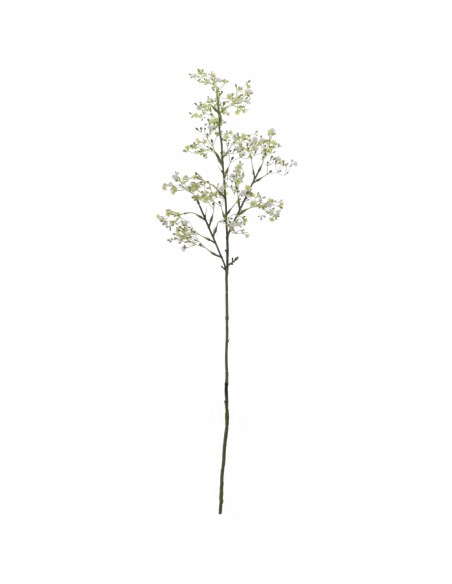 GYPSOPHILA (6100-01)