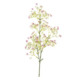 GYPSOPHILA (6100-06)