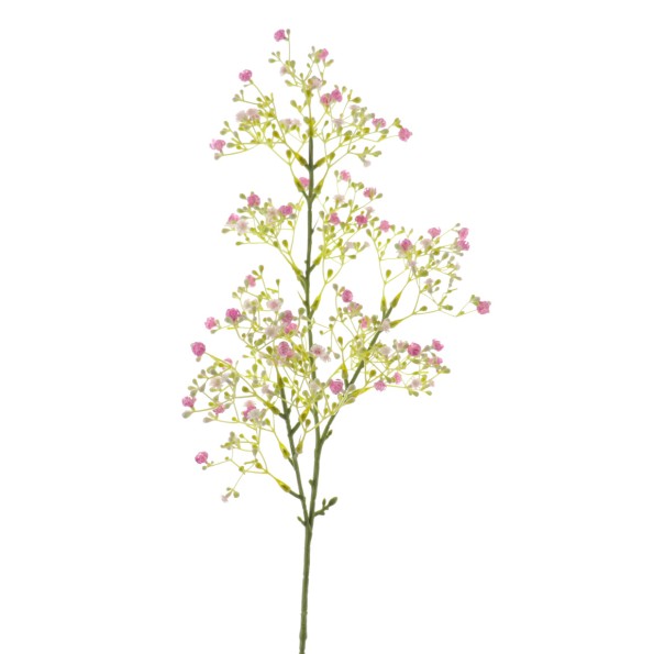 GYPSOPHILA (6100-06)