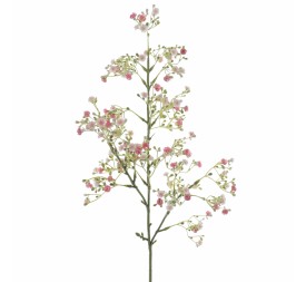 GYPSOPHILA (6100-12)
