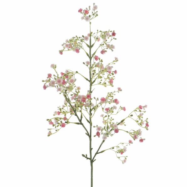 GYPSOPHILA (6100-12)