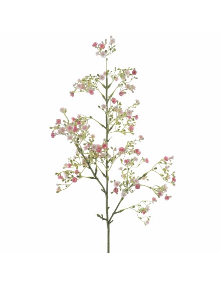 GYPSOPHILA (6100-12)