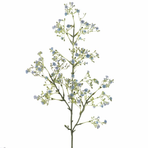 GYPSOPHILA (6100-10)