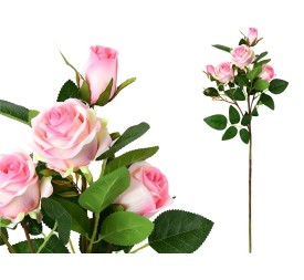 VARA ROSAS X 5 -66CM (ROSA)