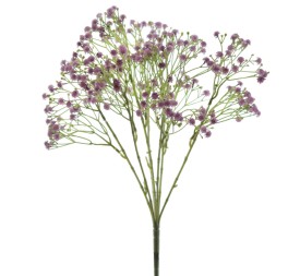 RAMO GUISOFILA X 7 (8529-74)