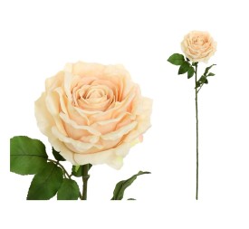VARA ROSA CAROLINA (A) -67 CM (BEIG)