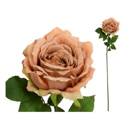 VARA ROSA CAROLINA (A) -67 CM (CORAL)