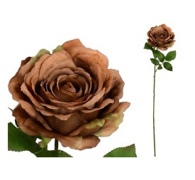 VARA ROSA CAROLINA (A) -67 CM (MARRON)