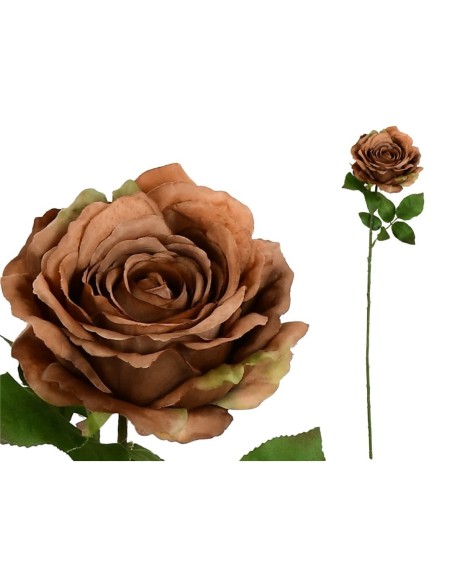 VARA ROSA CAROLINA (A) -67 CM (MARRON)