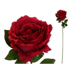 VARA ROSA CAROLINA (A) -67 CM (ROJO)