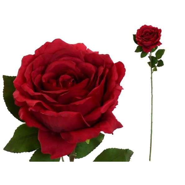 VARA ROSA CAROLINA (A) -67 CM (ROJO)