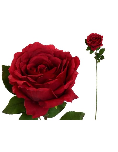 VARA ROSA CAROLINA (A) -67 CM (ROJO)