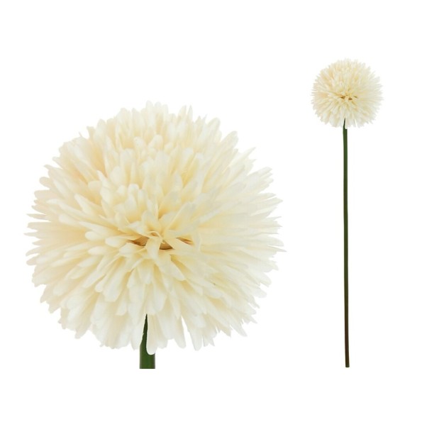 VARA POM-POM (A) -61CM (CREMA)