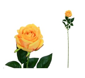 VARA CAPULLO CLASIC (S) - 78CM (TE)