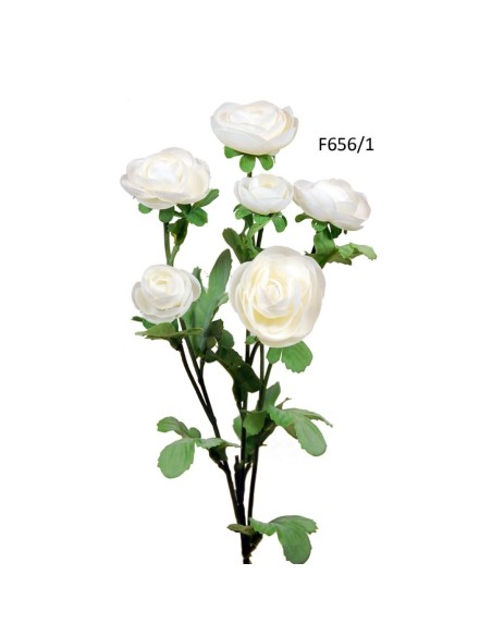 R.RANUNCULUSX6 CREMA 68cm (F656/1)