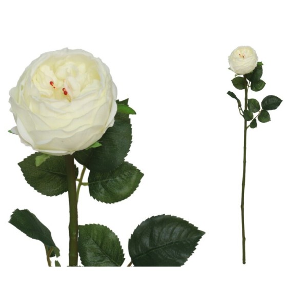 VARA ROSA CABBAGE R/T - 66 CM (BLANCO)