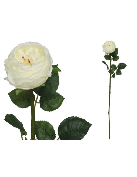 VARA ROSA CABBAGE R/T - 66 CM (BLANCO)