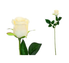 VARA CAPULLO CLASIC (S) - 65CM (CREMA)
