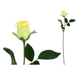 VARA CAPULLO CLASIC (S) -65CM (AMARILLO)