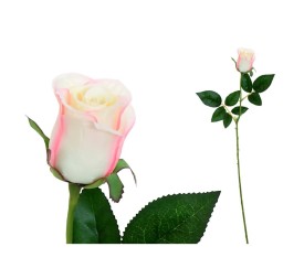 VARA CAPULLO CLASIC (S) - 65CM (ROSA)