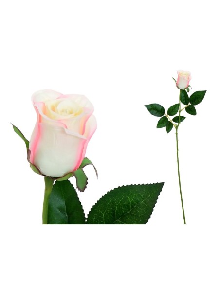 VARA CAPULLO CLASIC (S) - 65CM (ROSA)