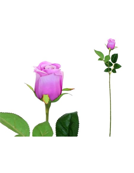 VARA CAPULLO CLASIC (S) - 65CM (VIOLETA)