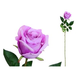 VARA CAPULLO CLASIC (S) - 78CM (VIOLETA)