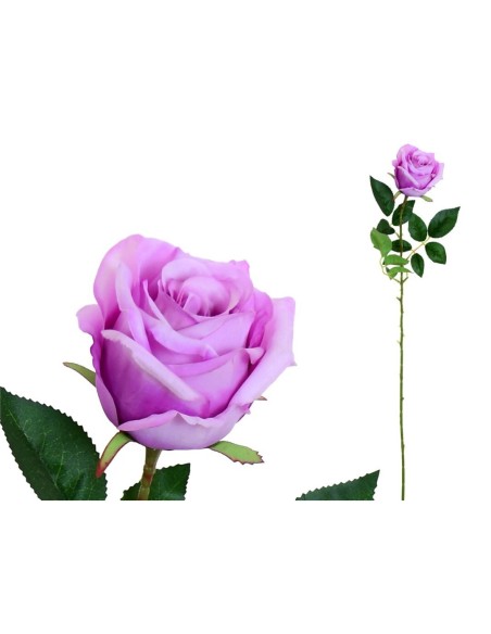 VARA CAPULLO CLASIC (S) - 78CM (VIOLETA)