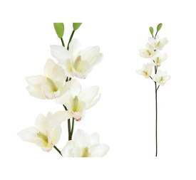 VARA CYMBIDIUM X 5 -77CM (BLAN