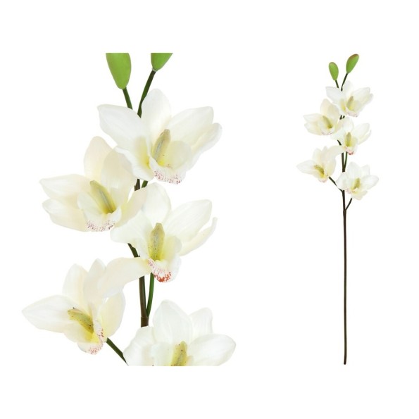 VARA CYMBIDIUM X 5 -77CM (BLAN