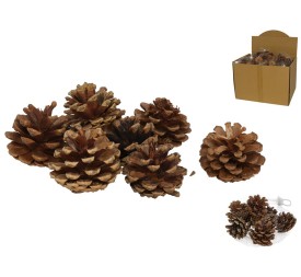 BOLSA PIÑAS CLASS NATURAL 100 GR