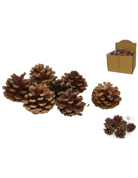 BOLSA PIÑASCLASS NATURAL 100 GR