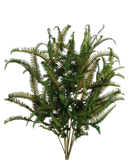 HELECHO SILVESTRE PRESS 45 cms. VERDE (67)