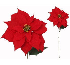 VARA POINSETTIA XL 71X33CM (ROJA)