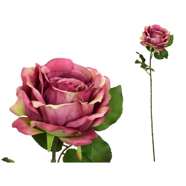 VARA ROSA CAROLINA (A) -67 CM (FUCSIA)