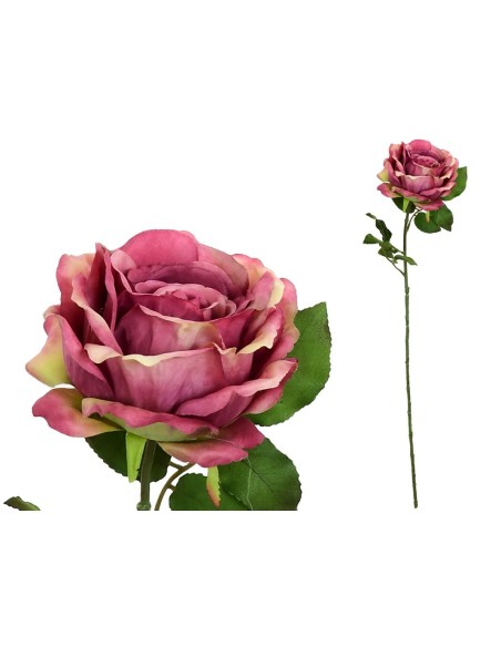 VARA ROSA CAROLINA (A) -67 CM (FUCSIA)