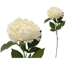 VARA PEONIA (A) -80CM (CREMA)