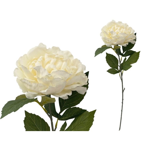 VARA PEONIA (A) -80CM (CREMA)