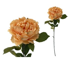 VARA PEONIA (A) -80CM (TE)