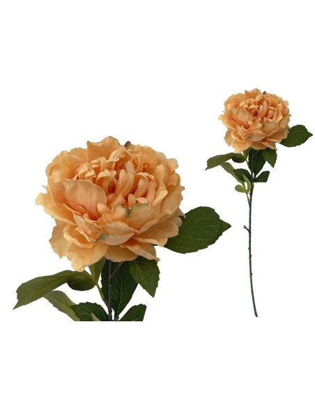 VARA PEONIA (A) -80CM (TE)