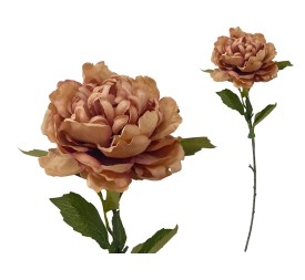 VARA PEONIA (A) -80CM (OCRE)