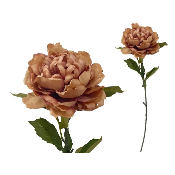 VARA PEONIA (A) -80CM (OCRE)