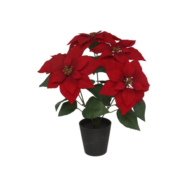 MACETA POINSETTIA C/PAPEL X5-54CM (ROJA)