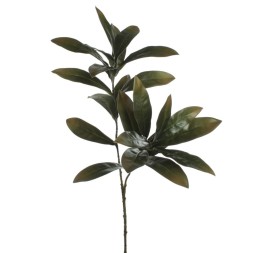 RAMA EUCALIPTO VERDE