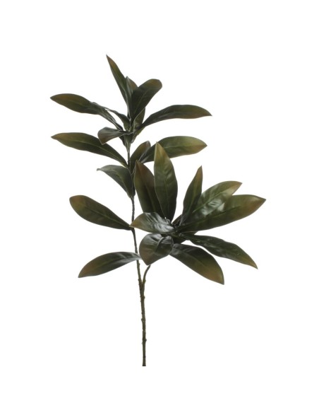 RAMA EUCALIPTO VERDE