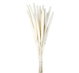 BABALA 75 cms BLANCO (00)