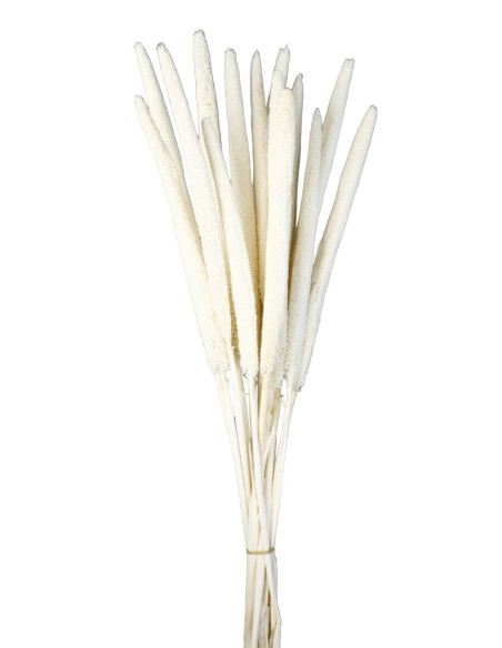 BABALA 75 cms BLANCO (00)