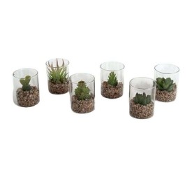 VASO CRISTAL CACTUS 7X5.5CM 6 SURTIDOS