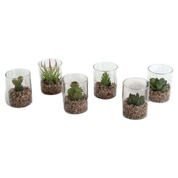 VASO CRISTAL CACTUS 7X5.5CM 6 SURTIDOS