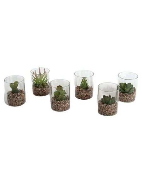 VASO CRISTAL CACTUS 7X5.5CM 6 SURTIDOS